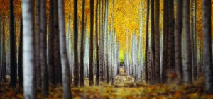 Günah ateşiyle sevaplarınızı yakmayın