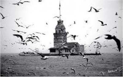 Aldırma reis, aldırma…